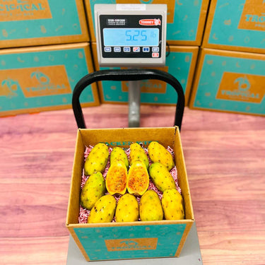 Yellow Cactus Pear Box Cactus Pears Tropical Fruit Box